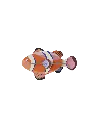 clownfishwebsite-product-picture-1753280956.webp
