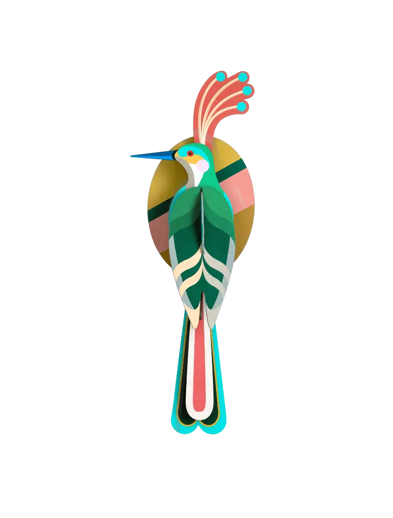 nias-bird-website-product-picture-nobg-1707483790.webp