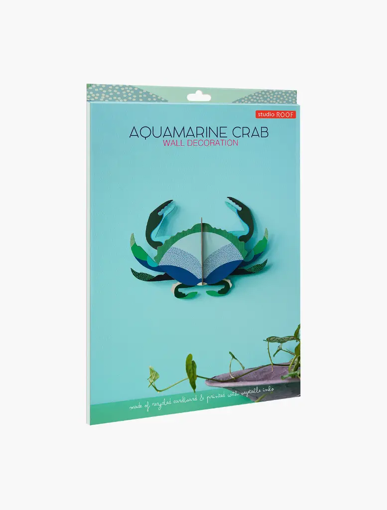 A4-MOCKUP-AQUAMARINE-CRAB.webp