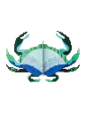AQUAMARINE-CRAB-1702633469.webp