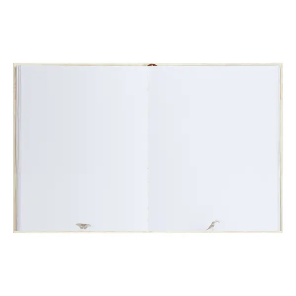 PMONO.10042 inner.webp