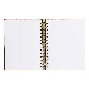 PMP.61153 INNER.webp