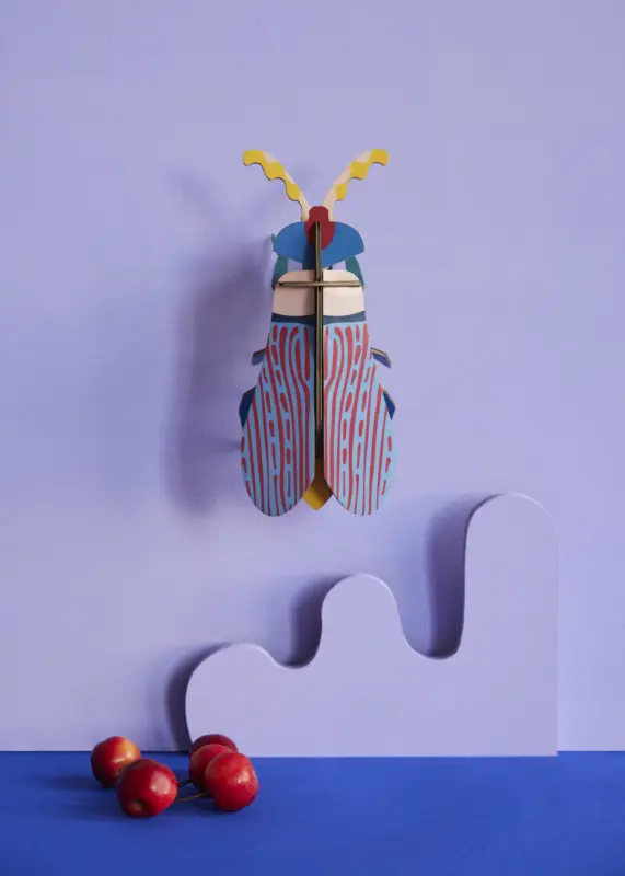 STRIPED-WING-BEETLE_AMBIENT-PORTRAIT-571x800.webp