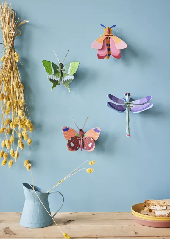 SMALL-BUTTERFLIESDRAGONFLIES-AMBIENT-OVERVIEW-PORTRAIT-2-571x800.webp