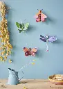 SMALL-BUTTERFLIESDRAGONFLIES-AMBIENT-OVERVIEW-PORTRAIT-2-571x800.webp