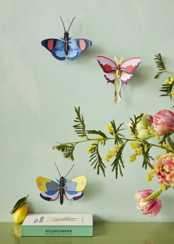 LILAC-COMET-BUTTERFLY-PEACOCK-BUTTERFLY-YELLOW-MONARCH-BUTTERFLY_OVERVIEW-PORTRAIT-1-571x800.webp