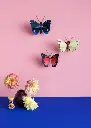SMALL-BUTTERFLIES-BLUE-DIADEM-BUTTERFLY-LARGE-FOX-BUTTERFLY-LUZERNE-BUTTERFLY_OVERVIEW-PORTRAIT-571x800.webp
