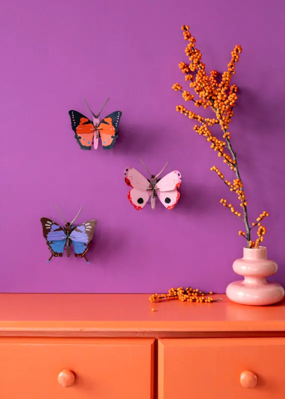 SMALL-BUTTERFLIES-LARGE-FOX-BUTTERFLY-CRYSALUS-BUTTERFLY-ROSORA-BUTTERFLY_OVERVIEW-PORTRAIT-571x800.webp