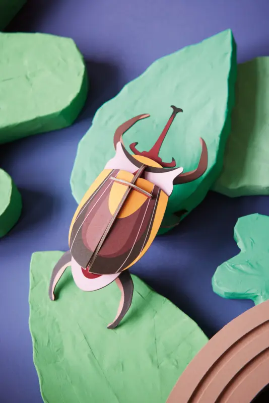 Elephant-Beetle-1-534x800.webp