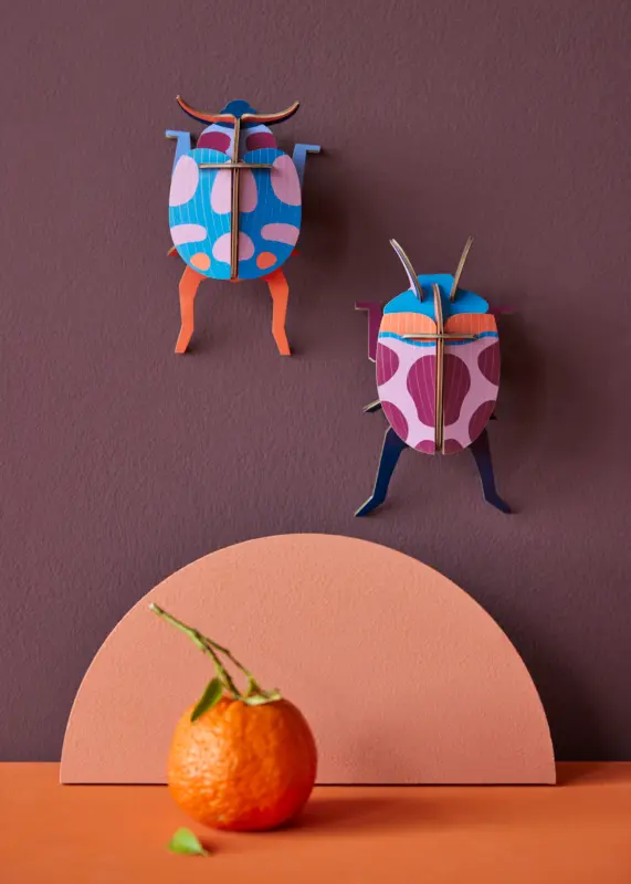 COCCINELLE-COUPLE_AMBIENT-PORTRAIT-571x800.webp