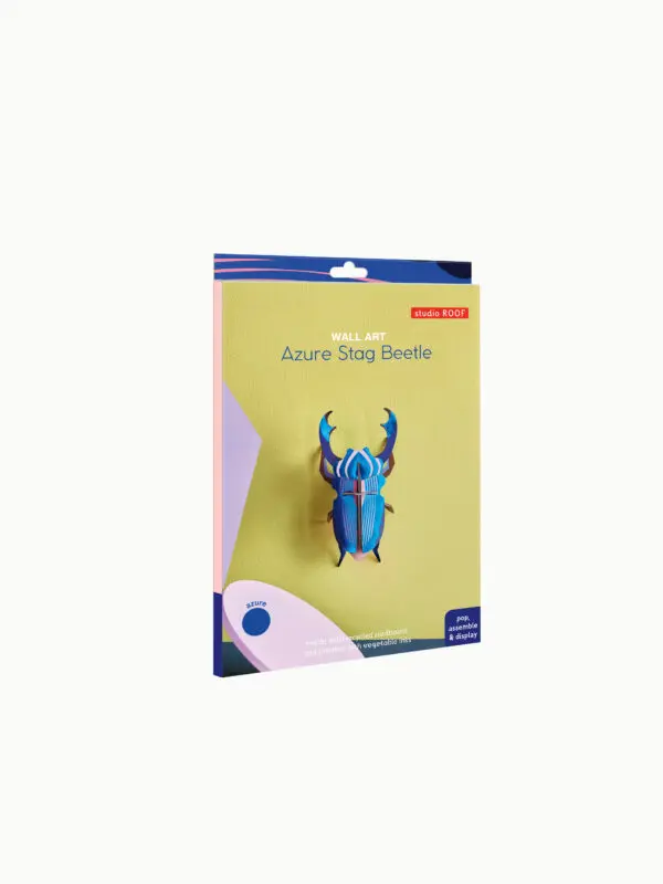 B6-MOCKUP-AZURE-STAG-BEETLE-600x800.webp
