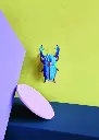 AZURE-STAG-BEETLE_AMBIENT-PORTRAIT-571x800.webp