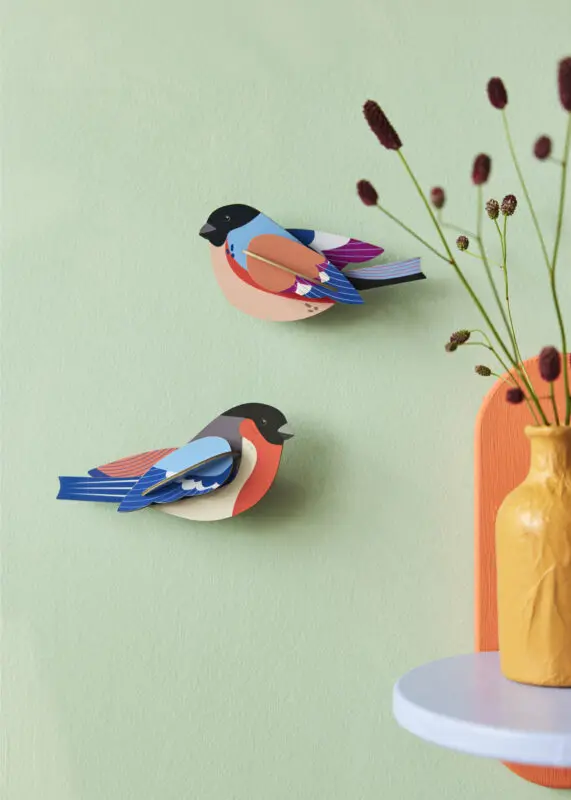 FINCHES_AMBIENT-PORTRAIT-571x800.webp