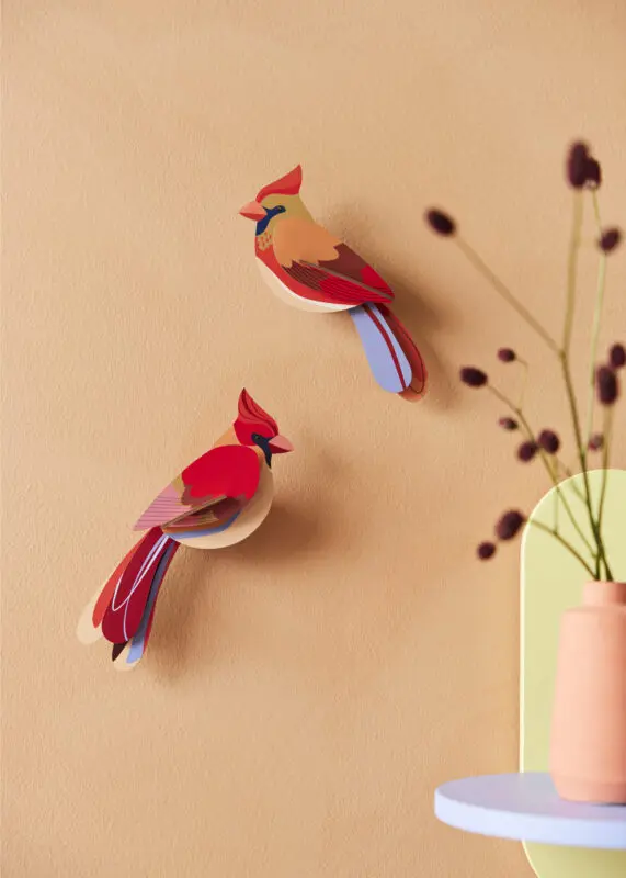 CARDINALS_AMBIENT-PORTRAIT-571x800.webp