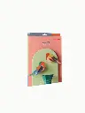ROBINS-GARDEN-BIRDS_B5-MOCKUP-PACKAGING-600x800.webp