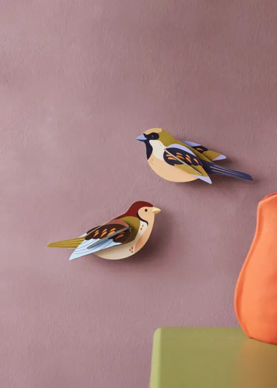 SPARROWS_AMBIENT-PORTRAIT-571x800.webp