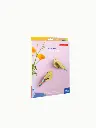 CITRINELLA-PAIR-GARDEN-BIRDS_B5-MOCKUP-PACKAGING-600x800.webp