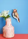 TAWNY-OWL_AMBIENT-PORTRAIT-1-571x800.webp