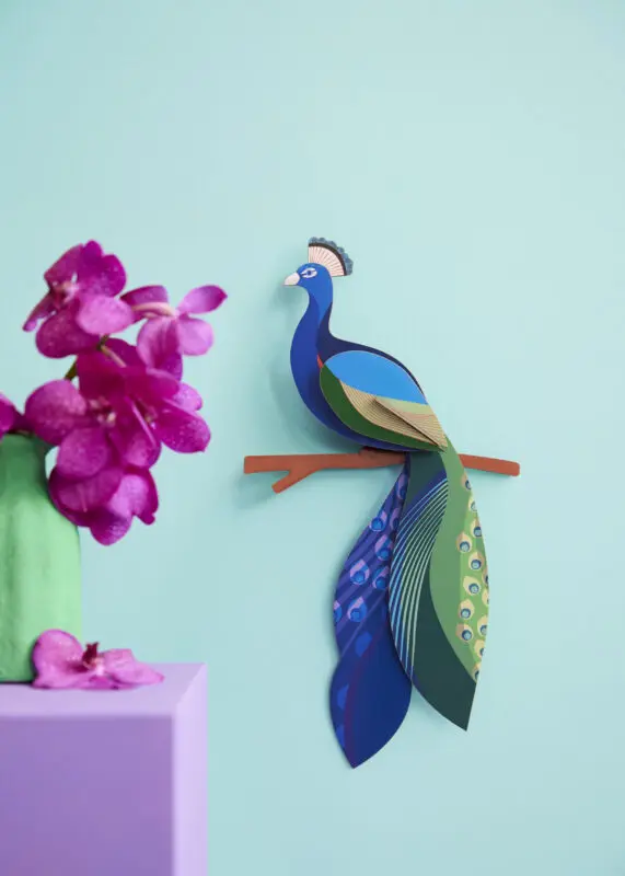 PEACOCK_AMBIENT-PORTRAIT-1-571x800.webp