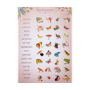 PMP.27004 STICKER.webp