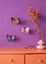 SMALL-BUTTERFLIES-LARGE-FOX-BUTTERFLY-CRYSALUS-BUTTERFLY-ROSORA-BUTTERFLY_OVERVIEW-PORTRAIT.webp