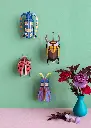 SMALL-BEETLES-COCCINELLE-ROUGE-ROSALIA-BEETLE-ELEPHANT-BEETLE-STRIPED-WING-BEETLE_OVERVIEW-PORTRAIT.webp