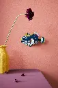 CLOWN-TRIGGERFISH-SINGLE-AMBIENT.webp