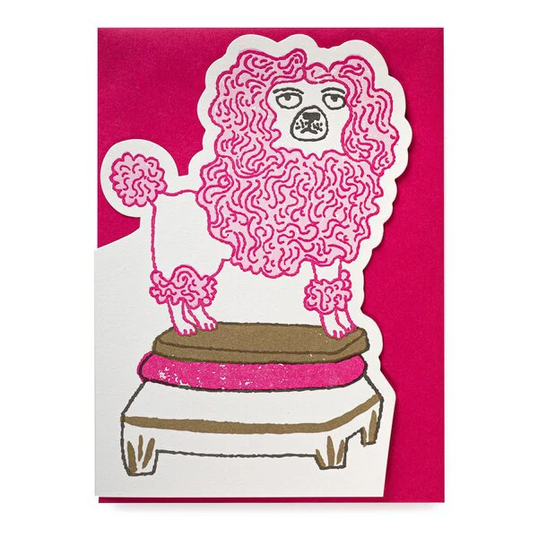 Poodle