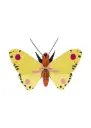 Studio Roof Luzerne Butterfly