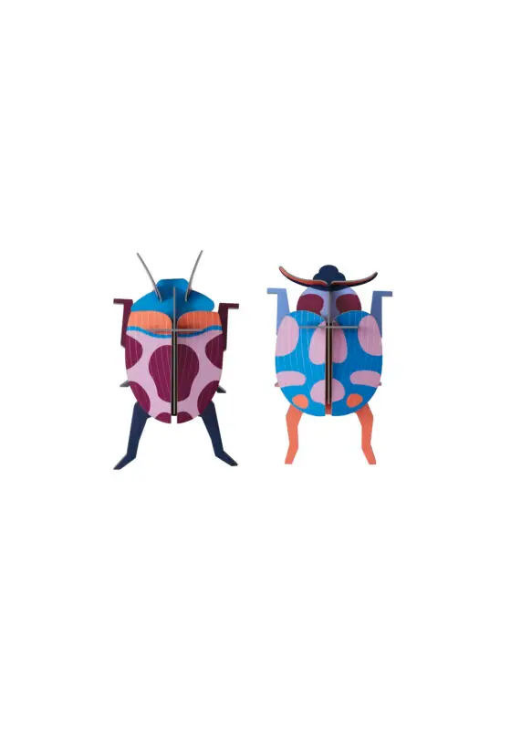 Studio Roof Coccinelle Couple