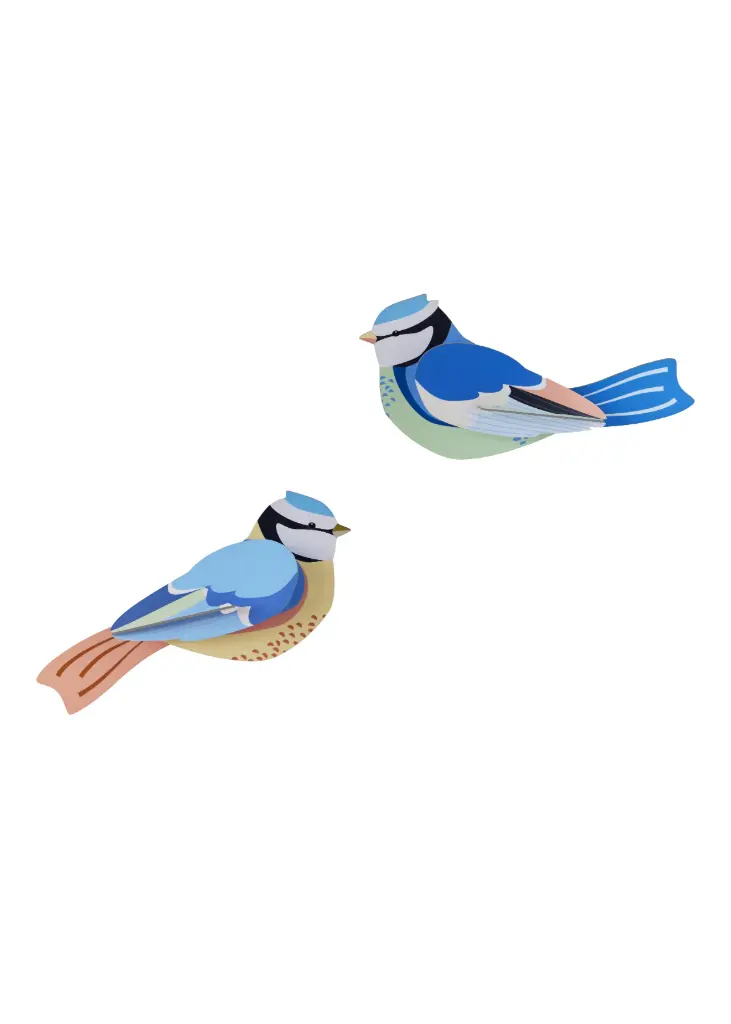 Studio Roof Blue Tits