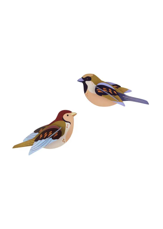 Studio Roof Sparrows