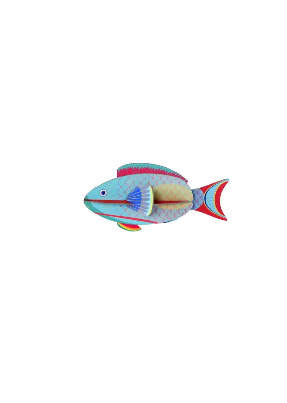 Studio Roof Parrotfish