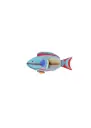 Studio Roof Parrotfish
