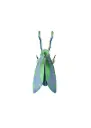 Studio Roof Jade Grasshopper