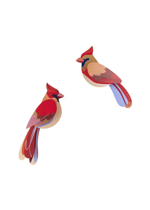 Studio Roof Cardinals