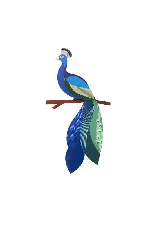 Studio Roof Peacock