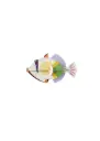 Studio Roof Lagoon Triggerfish