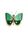 Studio Roof Fern Claudina Butterfly