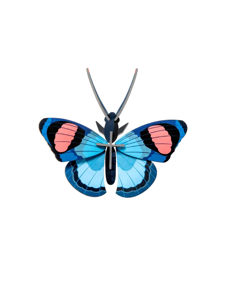 Studio Roof Peacock Butterfly