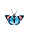 Studio Roof Peacock Butterfly