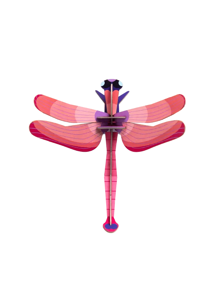 Ruby Dragonfly 