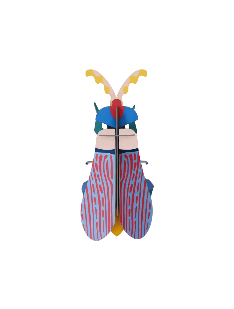 Studio Roof Striped wing beetle