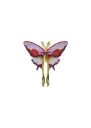 Studio Roof Lilac comet butterfly