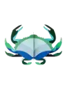 Aquamarine crab
