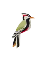 Studio Roof woodpecker