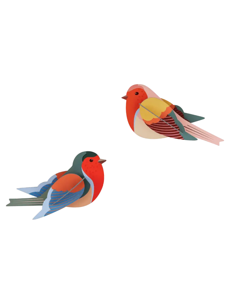 Studio Roof Robins