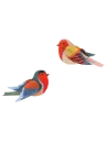 Studio Roof Robins
