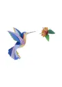 Studio Roof Hummingbird