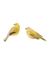 Studio Roof Citrinella Pair
